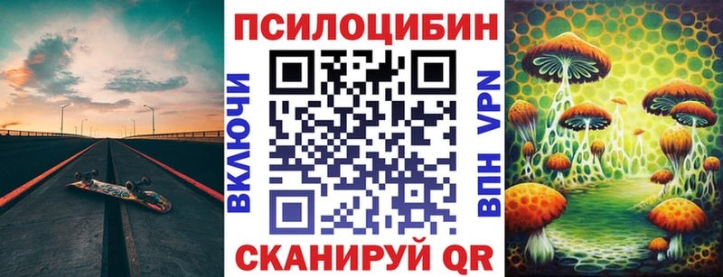 закладка  Салаир  Галлюциногенные грибы Cubensis 
